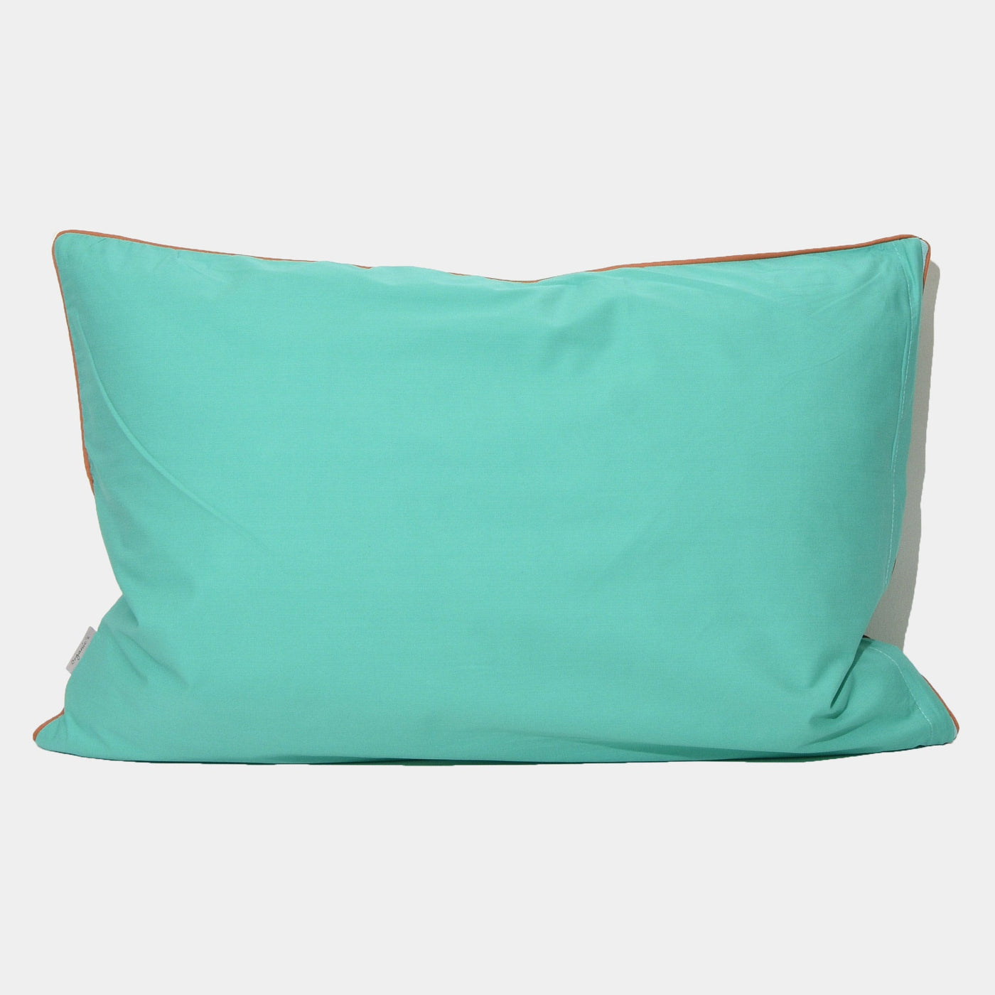 CUSHION Mint