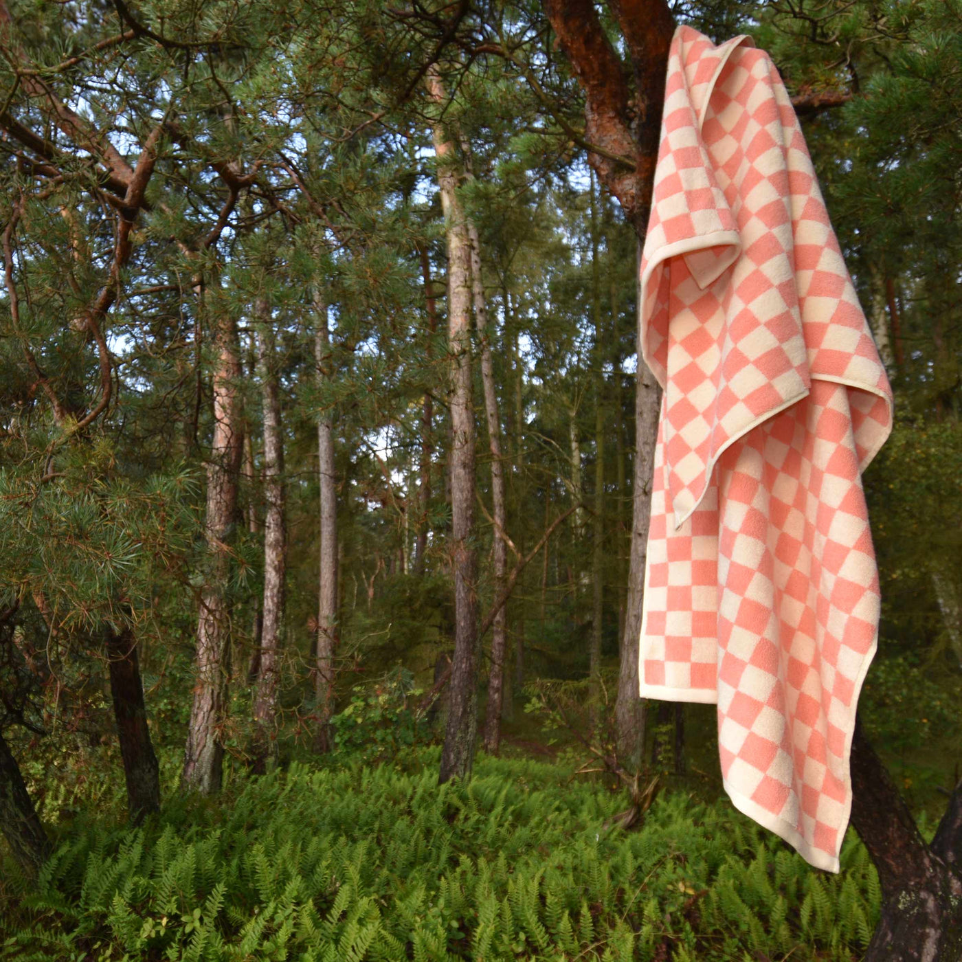 TOWEL Rose